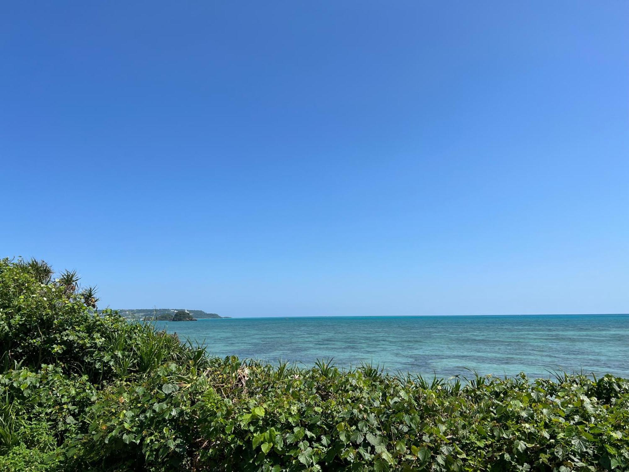 公寓 Ocean Front Sumuide *